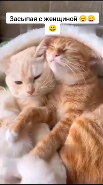 ��� � ���������� � ������� - 2