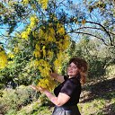 ���� �������, ����, 44 ���� - ��������� 1 ������ 2026