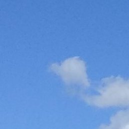 Alexander, ������, 40 ���