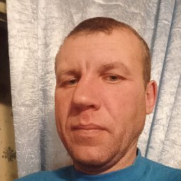 �������, �������, 41 ���