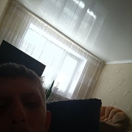 , 33, 