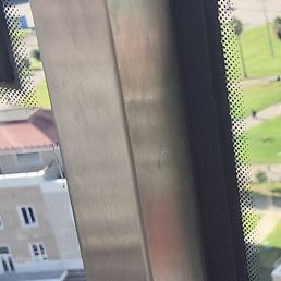 ��������, �����, 25 ���