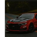���� ������, �����-���������, 51 ��� - ��������� 9 �������� 2024 � ������ ���� ����������