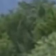 Давид, 31 год, Баку Давид, 31 год, Баку