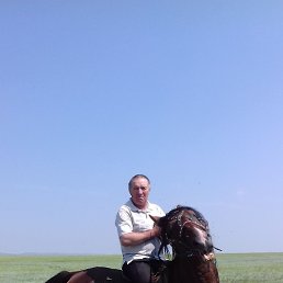 ������, �����������, 35 ���