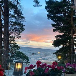 �����, ������, 55 ���