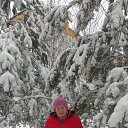 ���� �������, ������, 66 ��� - ��������� 20 ������� 2025