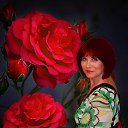 ���� Sandra, ������ - ��������� 22 ������ 2026 � ������ ���� ����������