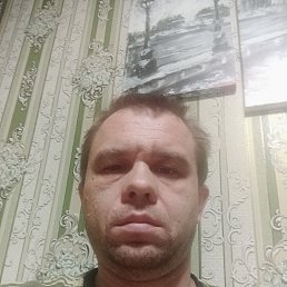 , 40, 