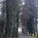 Templemore Park   Thurles, Ireland