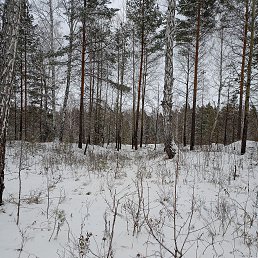 ���� ������, ������, 37 ��� - ��������� 24 ������ 2023