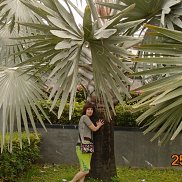 �����, , ��������