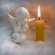 ���������, 40 ���, ������