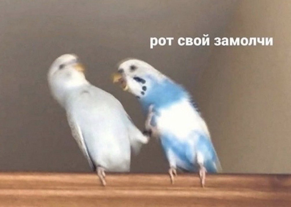    - 8  2024  20:30