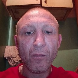 ���������, ����, 46 ���