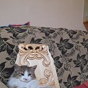 ���� �����, �������, 18 ��� - ��������� 11 ������ 2026 � ������ ���� ����������