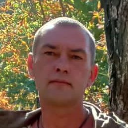 ������, ����, 40 ���