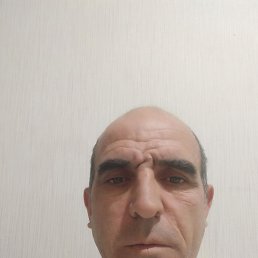 , 46, 