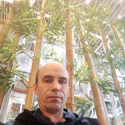 , 43, -