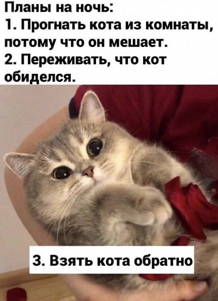   - 6  2025  21:47