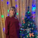 ���� ����, ����, 44 ���� - ��������� 3 ������ 2026 � ������ ���� ����������