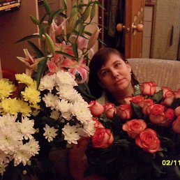 �������, ������, 51 ���