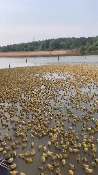 �c��a� �ep�a! �o���o �oc�o�p��e �a ��o c��a�e��ee �o���ec��o ��c��!! ����� ������� - 2