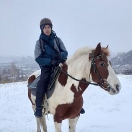 ������, 48 ���, ������