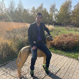 ��������, �������, 28 ���