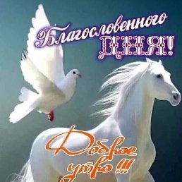 �����, ������, 54 ����