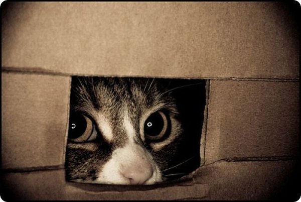  ,  ... ,    -     ! - 4