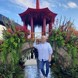 �������, �����-���������, 45 ���