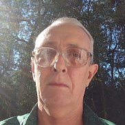 , 66 , 