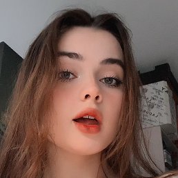 Vlada, 