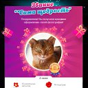 ���� N, ������� - ��������� 15 ������ 2025 � ������ ���������� (����������)�