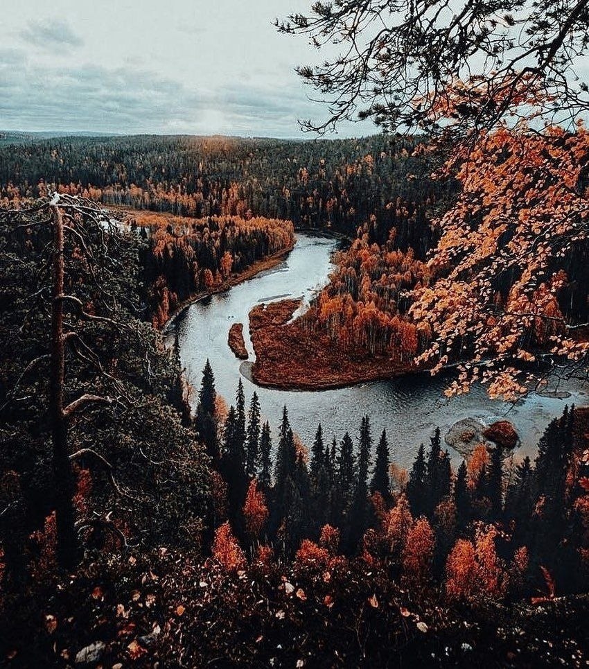 ���� ����� �������, ��� ����� ������������ � �������, ���� ������ ������ �����, ������ ������� ...