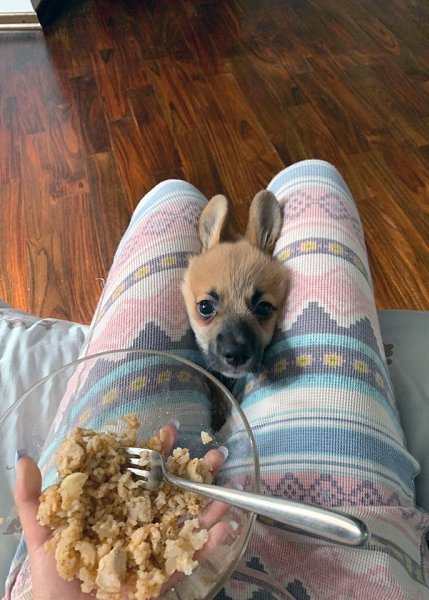 �� ������ ���������� �����, ����� � ������� ����