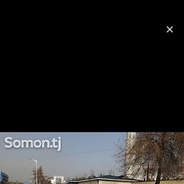 ����, �����-���������, 35 ���