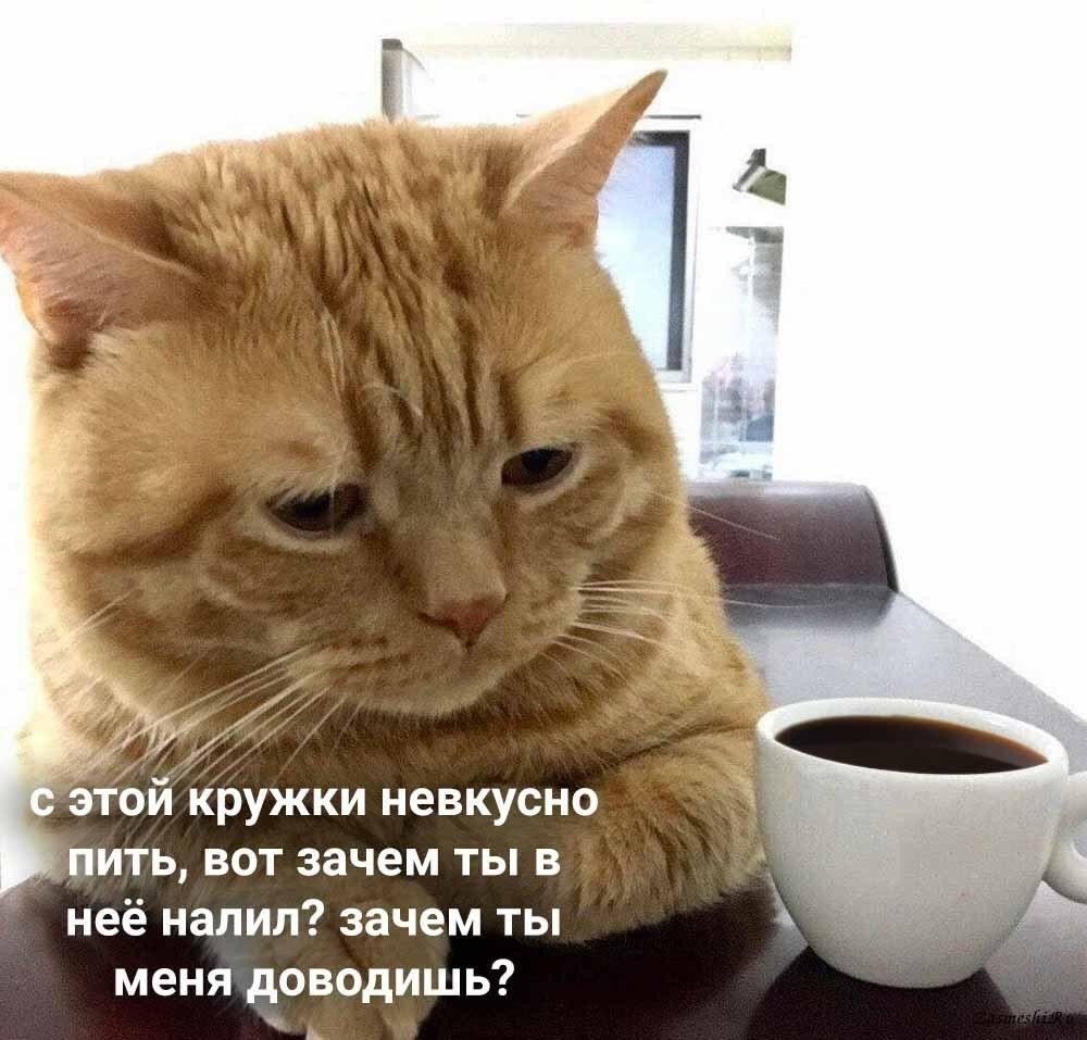    - 16  2024  13:22