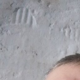 ������, ����, 55 ���