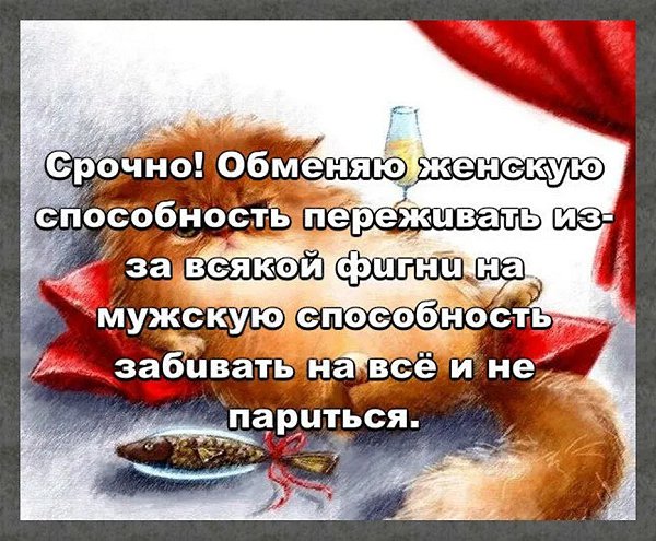☆������ �������☆ - 2 ���� 2025 � 04:41