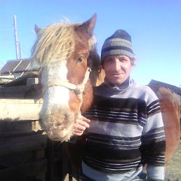 ���� ��������, �������, 54 ���� - ��������� 3 ������ 2026