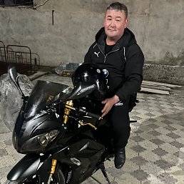 ���� �������, �������, 39 ��� - ��������� 20 ��� 2026