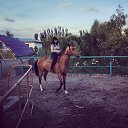 ���� �������, ����� (�������), 28 ��� - ��������� 1 ������ 2026