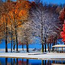 ���� ��������, �����, 53 ���� - ��������� 10 ������� 2024 � ������ ���� ����������