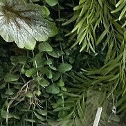 �����, 41 ���, ������