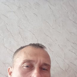 �����, ������, 37 ���