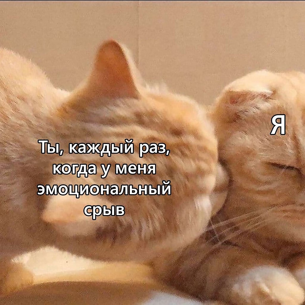    - 22  2024  22:21