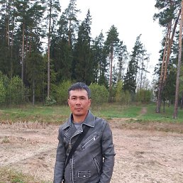 , 32, 