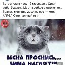 ���� ����� ( �� �������� � ��������- ��), ����� - ��������� 1 ������ 2026 � ������ ������ ��������